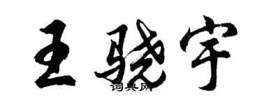 胡问遂王骁宇行书个性签名怎么写