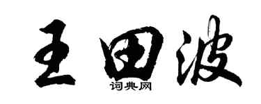 胡问遂王田波行书个性签名怎么写