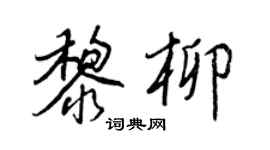 王正良黎柳行书个性签名怎么写