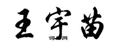 胡问遂王宇苗行书个性签名怎么写