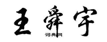 胡问遂王舜宇行书个性签名怎么写