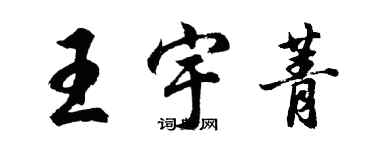 胡问遂王宇菁行书个性签名怎么写