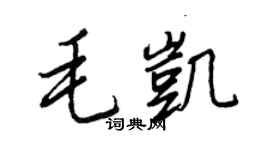王正良毛凯行书个性签名怎么写
