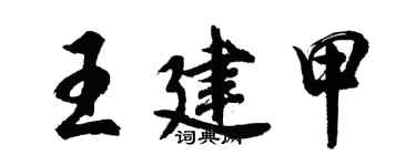 胡问遂王建甲行书个性签名怎么写