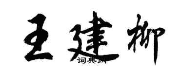 胡问遂王建柳行书个性签名怎么写