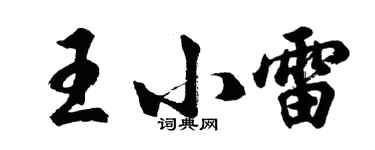 胡问遂王小雷行书个性签名怎么写