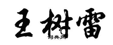 胡问遂王树雷行书个性签名怎么写