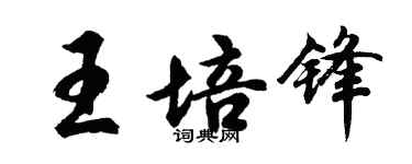 胡问遂王培锋行书个性签名怎么写