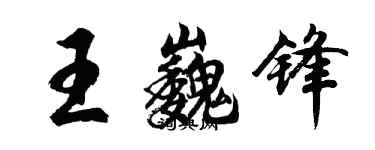 胡问遂王巍锋行书个性签名怎么写