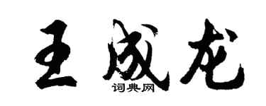 胡问遂王成龙行书个性签名怎么写