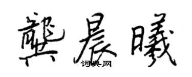 王正良龚晨曦行书个性签名怎么写