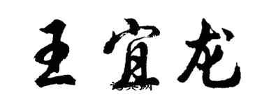 胡问遂王宜龙行书个性签名怎么写