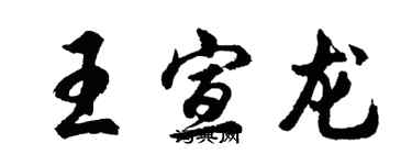 胡问遂王宣龙行书个性签名怎么写