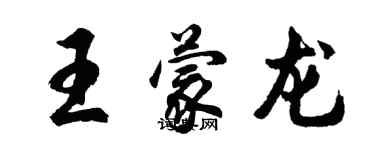 胡问遂王蒙龙行书个性签名怎么写