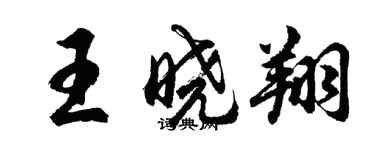 胡问遂王晓翔行书个性签名怎么写