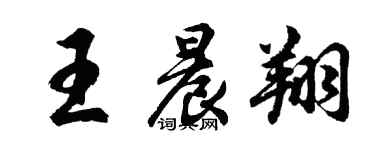 胡问遂王晨翔行书个性签名怎么写