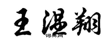 胡问遂王温翔行书个性签名怎么写