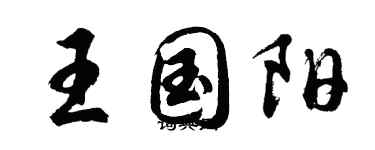 胡问遂王国阳行书个性签名怎么写