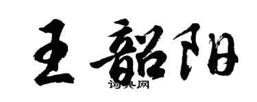 胡问遂王韶阳行书个性签名怎么写