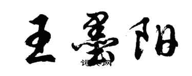 胡问遂王墨阳行书个性签名怎么写