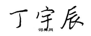 王正良丁宇辰行书个性签名怎么写