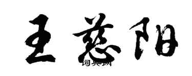 胡问遂王慈阳行书个性签名怎么写