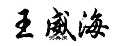 胡问遂王威海行书个性签名怎么写