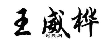 胡问遂王威桦行书个性签名怎么写