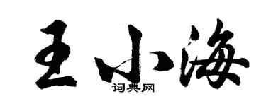 胡问遂王小海行书个性签名怎么写