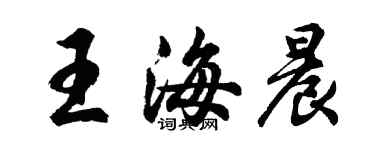 胡问遂王海晨行书个性签名怎么写