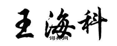 胡问遂王海科行书个性签名怎么写