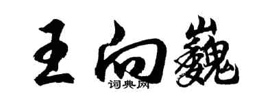 胡问遂王向巍行书个性签名怎么写