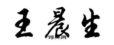 胡问遂王晨生行书个性签名怎么写