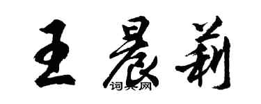 胡问遂王晨莉行书个性签名怎么写