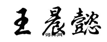 胡问遂王晨懿行书个性签名怎么写