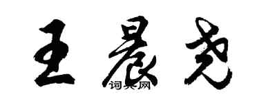 胡问遂王晨尧行书个性签名怎么写