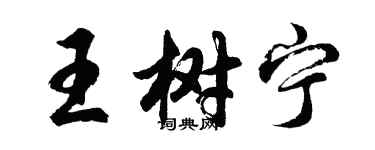 胡问遂王树宁行书个性签名怎么写