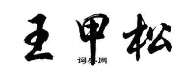 胡问遂王甲松行书个性签名怎么写