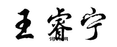 胡问遂王睿宁行书个性签名怎么写
