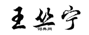 胡问遂王丛宁行书个性签名怎么写