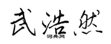 王正良武浩然行书个性签名怎么写