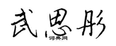 王正良武思彤行书个性签名怎么写