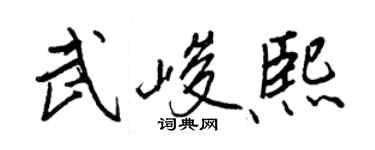 王正良武峻熙行书个性签名怎么写
