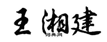 胡问遂王湘建行书个性签名怎么写