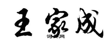 胡问遂王家成行书个性签名怎么写