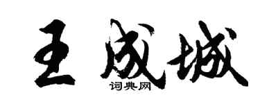 胡问遂王成城行书个性签名怎么写
