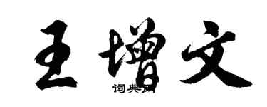 胡问遂王增文行书个性签名怎么写