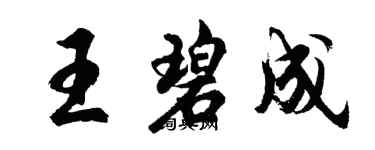 胡问遂王碧成行书个性签名怎么写