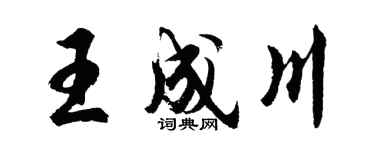 胡问遂王成川行书个性签名怎么写