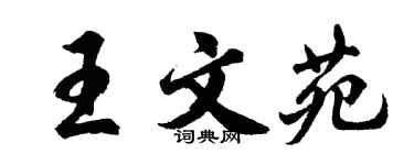 胡问遂王文苑行书个性签名怎么写